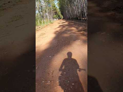 Trilha do jacaré #zonarural #mtbbrasil #pedalada