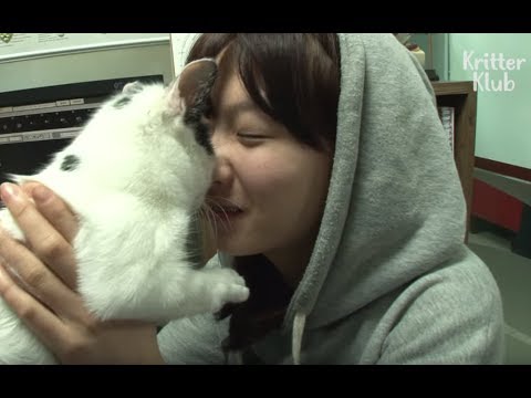 Cat With Cerebral Palsy Can't Walk Or Pee Without Her Owner | Animal in Crisis EP28