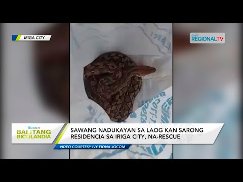 Balitang Bicolandia: Sawang nadukayan sa laog kan sarong residencia sa Iriga City, na-rescue