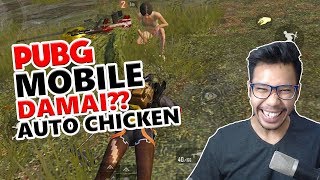 DAMAI? AUTO CHICKEN LAGI - PUBG MOBILE INDONESIA