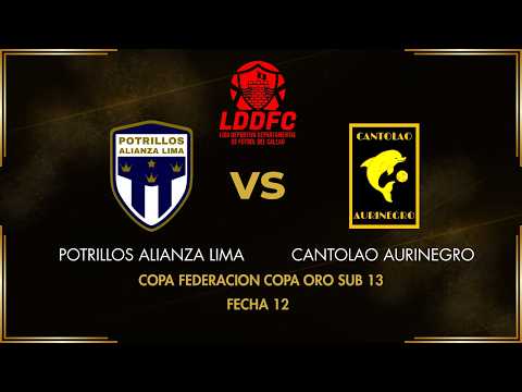 🔴 EN VIVO | Villa Angamos Ventanilla⚽🏆 Torneo Federación Copa Oro 2026📅 Fecha 12 Sub13