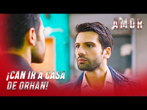 Amor Espanol - Aşk - ¡Can venir a conocer a Orhan! - Sección Especial