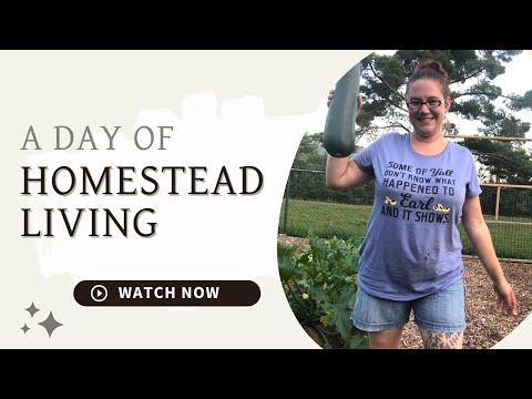 A Day of Homestead Living [Behind the scenes at The 104 Homestead]