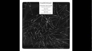 Radiohead - Bloom (Harmonic 313 RMX)