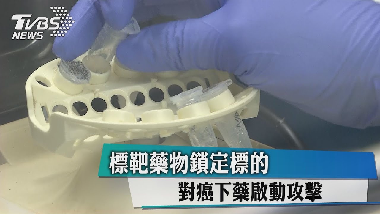 標靶藥物鎖定標的 對癌下藥啟動攻擊