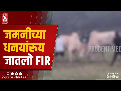 Dhiryo: Landowners Allowing Bullfights to Face Action, Warns South Goa Collector