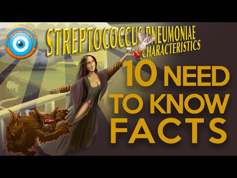 Streptococcus Pneumoniae: 10 need to know facts (Step 1, COMLEX, NCLEX®, PANCE, AANP)