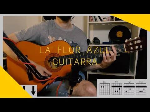 La Flor Azul - Divididos