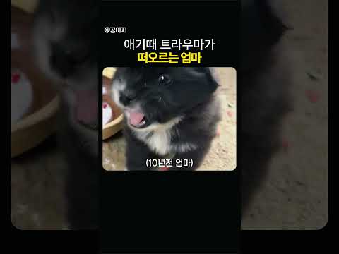 애기때 당했던게 떠오름