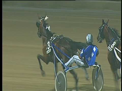 Trotto 22/07/2017 - 6ª corsa