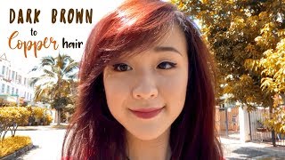 Copper Hair with Loreal Colorista Paint, Feria, HiColor + Arctic Fox Sunset Orange