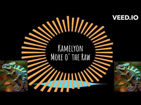Kamelyon - More o' the Raw (Pete Rock & CL Smooth Remix)