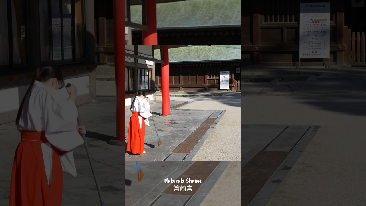 YouTube Short thumbnail