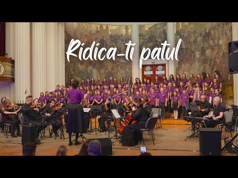 Ridică-ți patul - Consonantis Junior