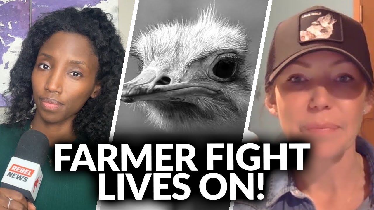 Where is the ostrich farm now, two months after the CFIA slaughter?