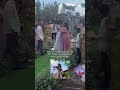 The Feels 🩷 Bridalmarch Wedding Violin Violinist Cello Cellist Palagi Opm