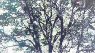 Adentro Tuyo - Luis Alberto Spinetta