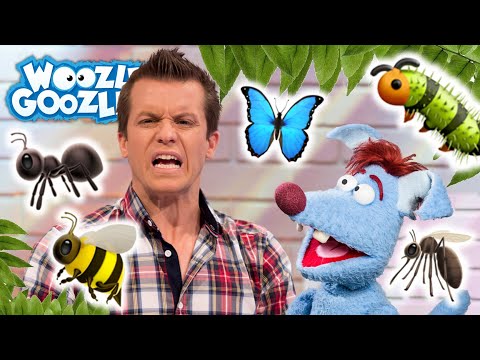 Wie viele Insekten gibt es? l WOOZLE GOOZLE