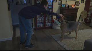 Inspiring Indiana: Boy collects pet supplies to donate