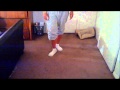 Basic Stepping