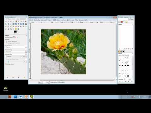 Gimp - Teil 1: Erste Schritte