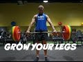 ADVANCED bodybuilding leg workout