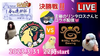 春の連邦杯決勝‼️