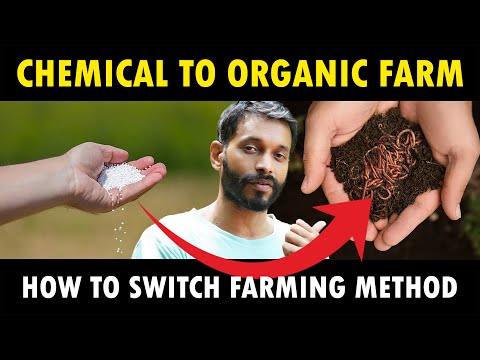 From Chemical Farming to Natural / Organic Farming | Organic agriculture Farming