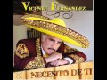 vicente fernandez   camino al cielo