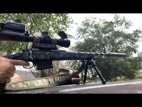 22 Creedmoor the vandal ￼X ￼ at 700 yards. With a 75 grain in ELD. ￼