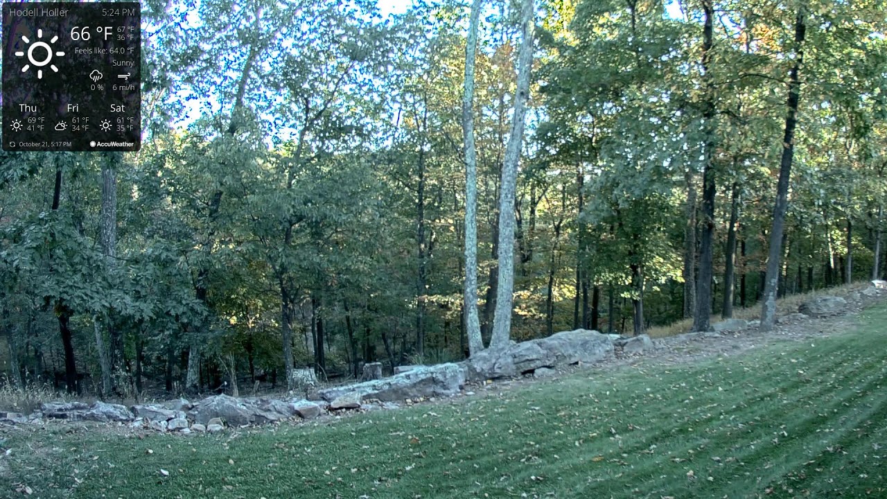 Live webcam view of Third Hill Mountain Woodland View