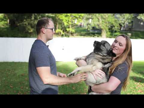 The High Cost Of Living with MS: Keisha's Story