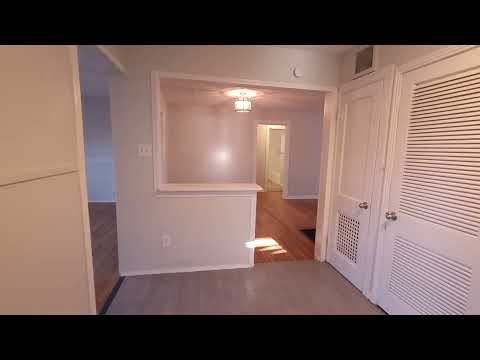 237 Senisa - Video 2 of 2