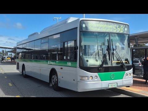 [Withdrawn] Transperth TP1985 [Bad diff] ZF kickdown Mercedes-Benz OC500LE CNG