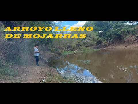 pesca y cocina /Puente andino arroyo aguiar /tremendo arroyo lleno de mojarras/
