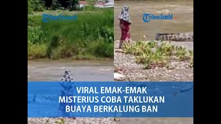 Download lagu Viral Emak-emak Misterius Coba Taklukan Buaya Besar Berkalung Ban di Kota Palu mp3 Download lagu Viral Emak-emak Misterius Coba Taklukan Buaya Besar Berkalung Ban di Kota Palu mp3