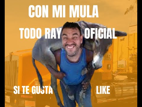 lo mejor en contenido #reels