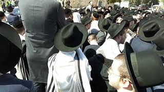 # 🕍 שער המשולש - סיבוב שערים פסח תשפ