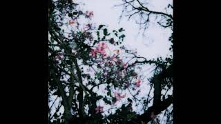 Dead Poet Society - CoDA