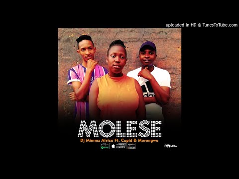 Dj Mimmz Africa - Molese Ft. Cupid & Morongwe