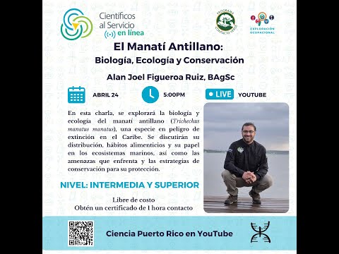 Charla Científicos al Servicio en Línea: El manatí antillano (intermedia y superior)