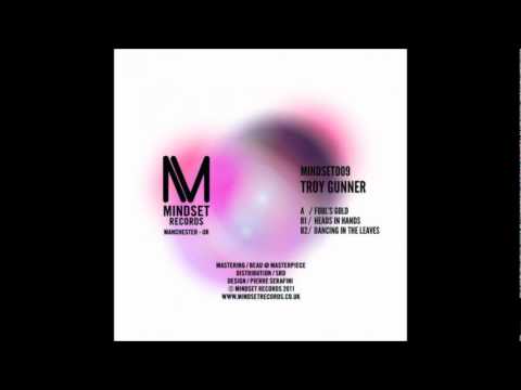 Troy Gunner - Dancing In The Leaves