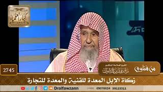 صورة 2745- زكاة الإبل المعدة للقنية والمعدة للتجارة | الشيخ صالح الفوزان