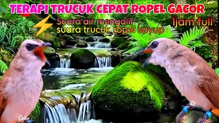 Download lagu TERAPI TRUCUKAN CEPAT BUNYI ROPEL GACOR DENGAN SUARA AIR MENGALIR DAN SUARA TRUCUK DOPEL SAYUP mp3