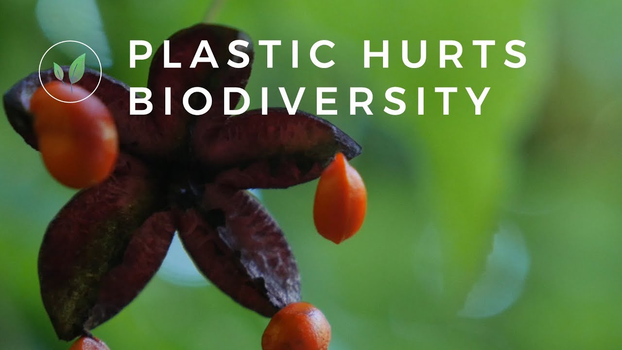 What is decision making in advertising? Tipseri