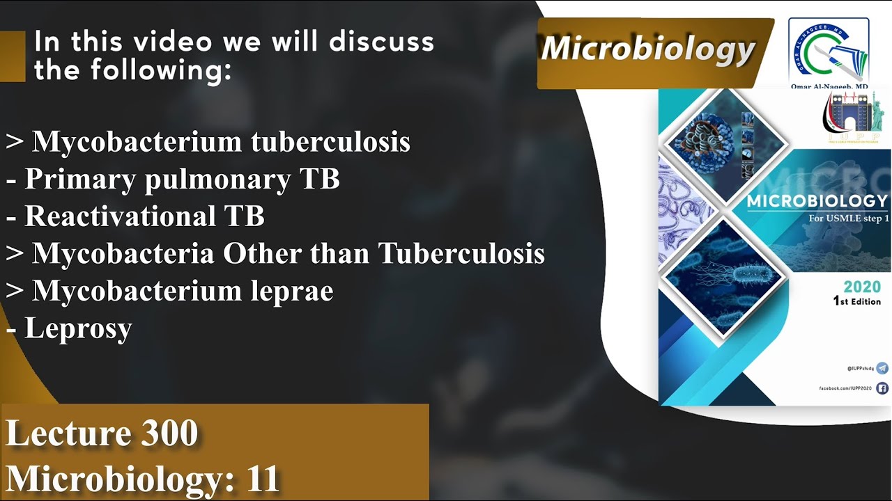 Mycobacterium tuberculosis | Mycobacteria Other than Tuberculosis | Mycobacterium leprae | Leprosy