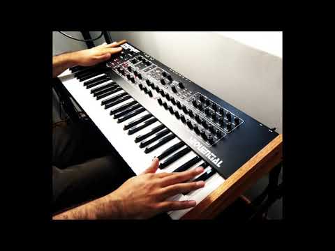 Funky Bass on a Sequential Rev 2