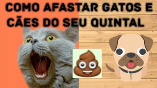 como afastar gatos e cães do seu quintal .