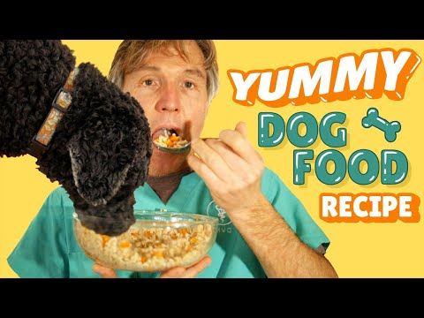Dog Food Recipe For Allergies