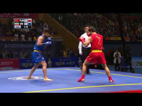 Sanshou Sanda 2016 World Cup Semi Finals Turkey vs Iran 65 Kg Men
